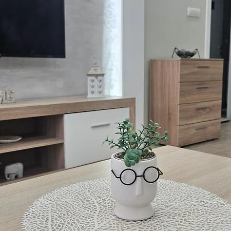 Vukota 2 Apartman Pirot