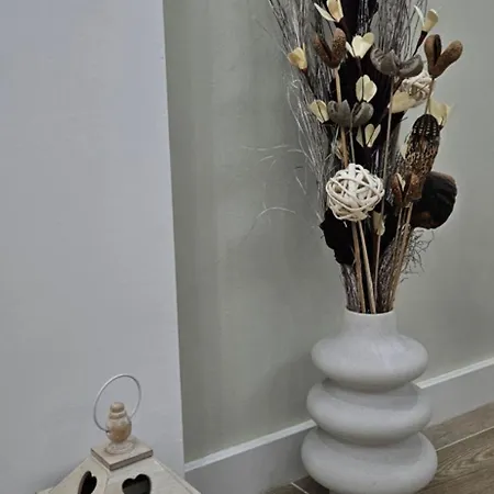 Vukota 2 Apartman Pirot